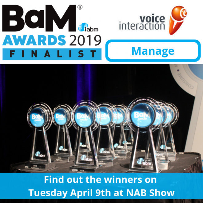 voice interaction - Bam Awards finalist